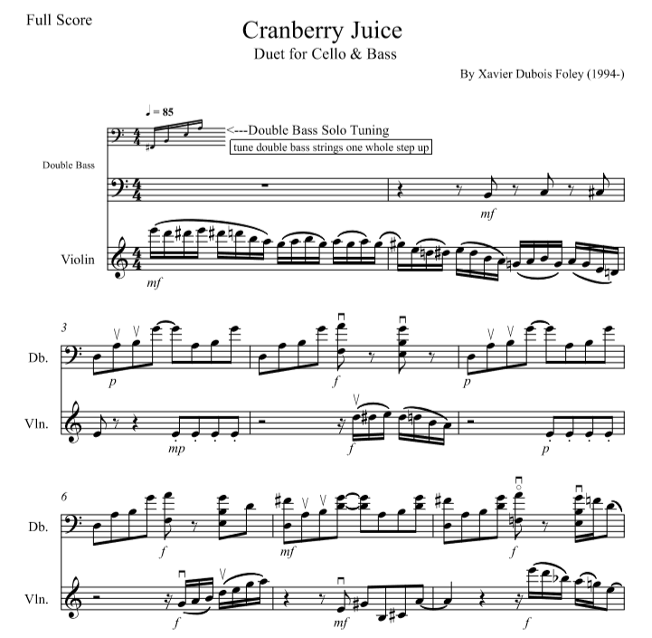 Jugo de arándano para violín y bajo