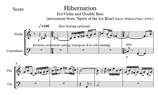 Hibernation - violin & double bass duo