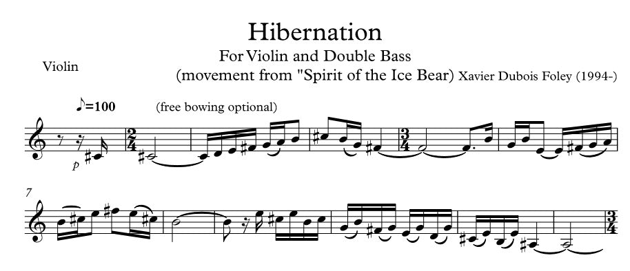 Hibernation - violin & double bass duo