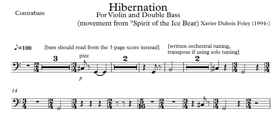 Hibernation - violin & double bass duo