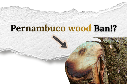 Pernambuco Wood Ban Crisis: A Bassist's Guide to What's Coming