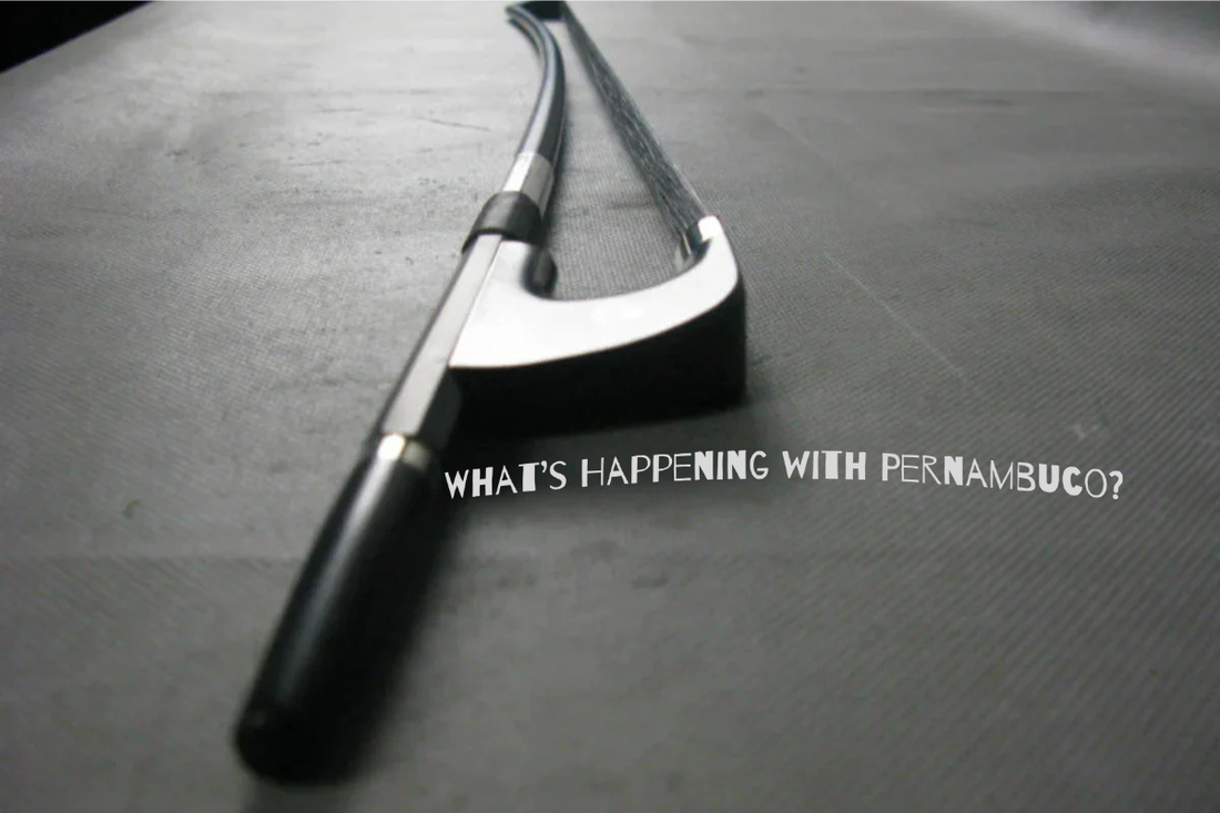 Pernambuco in Crisis: Your Double Bass Bow Alternatives