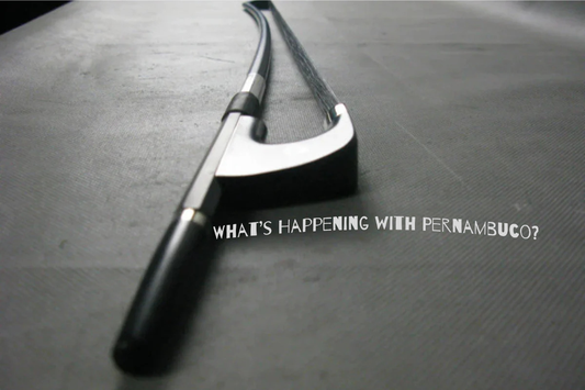 Pernambuco in Crisis: Your Double Bass Bow Alternatives