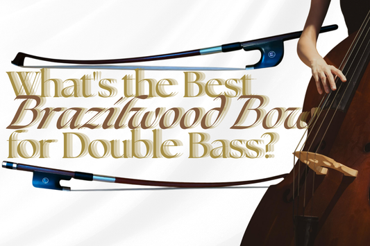 Brazilwood Bow Brands: Which Makers Offer the Best Value?