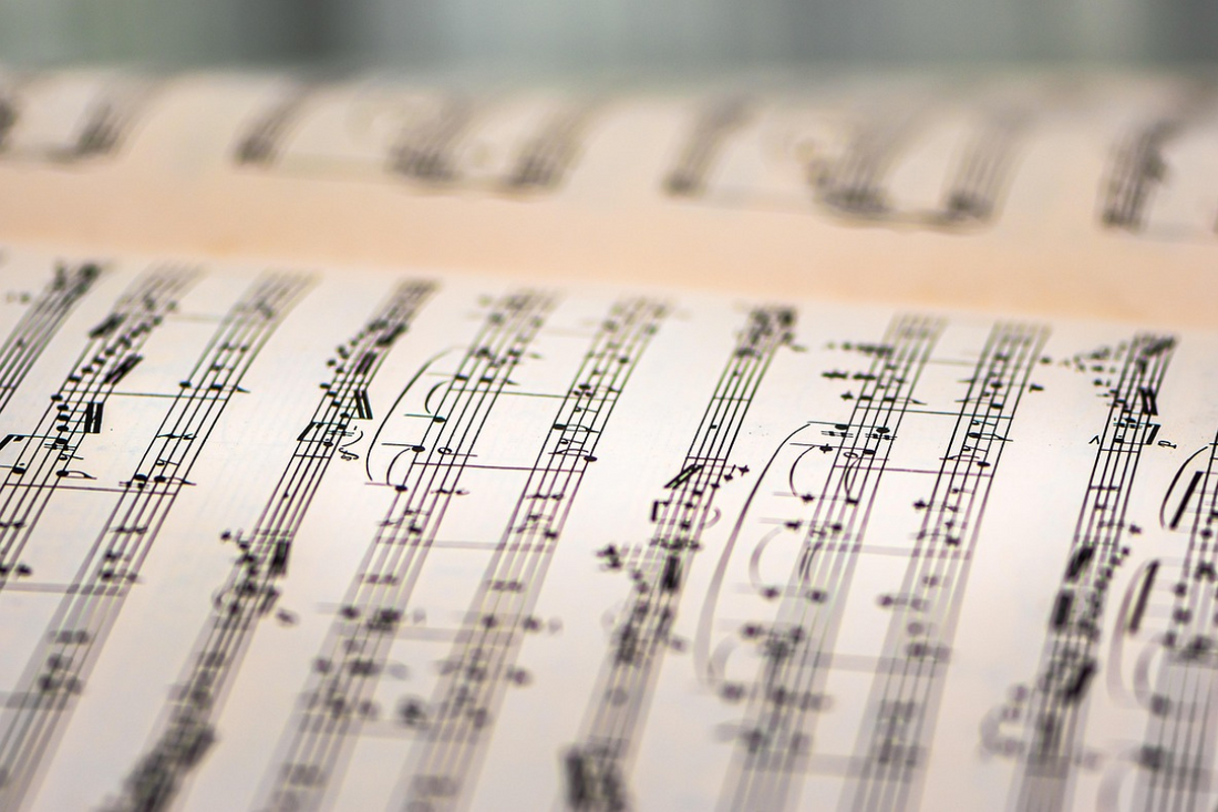 Best Double Bass Method Books for Classical Players