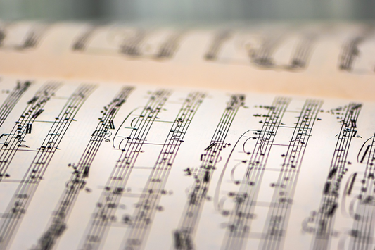 Best Double Bass Method Books for Classical Players