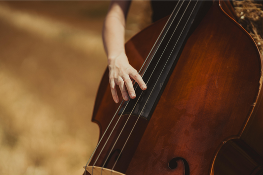 Left Hand Technique for Double Bass: Foundation Basics