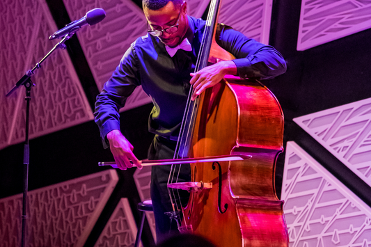 How to Hire a Musician for Your Concert