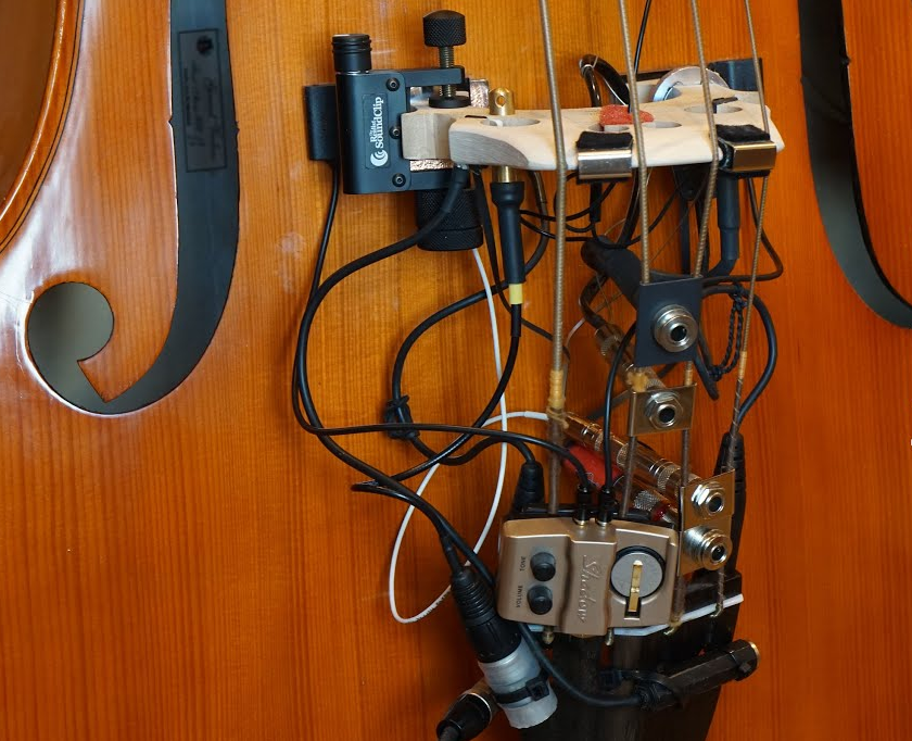 Should you get a double bass pickup? | Classical double bass