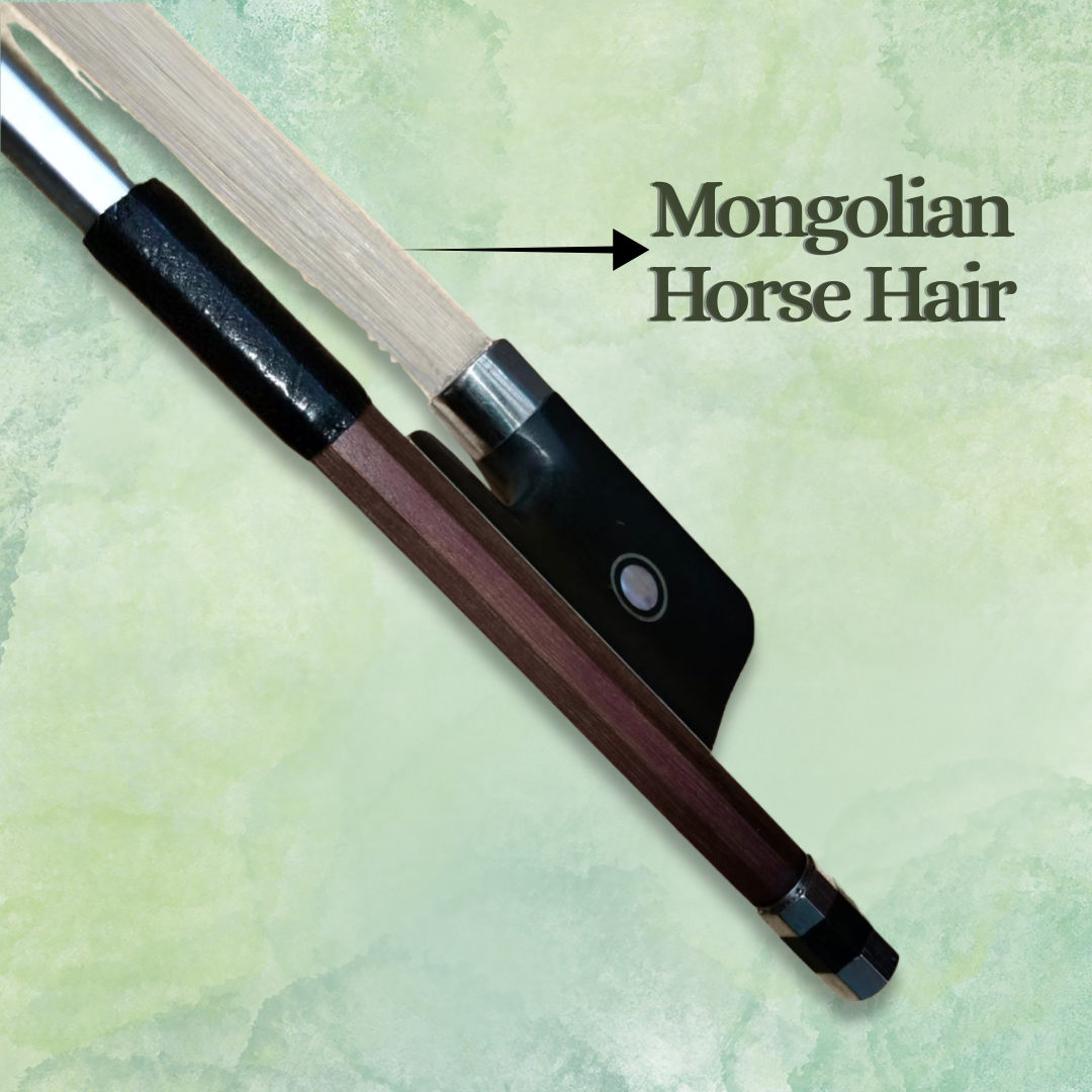 "Cobra" Brazilwood Cello Bow