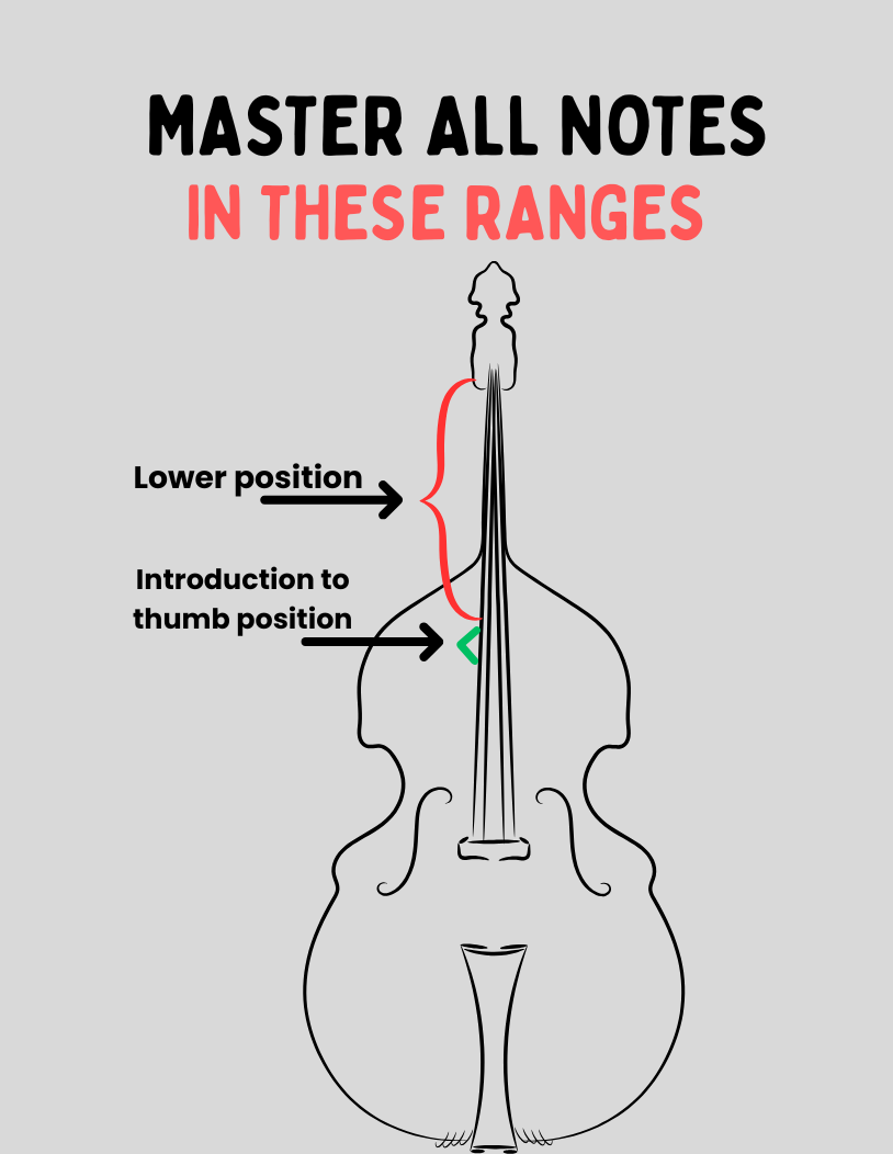 The Exercise Book (Intermediate)