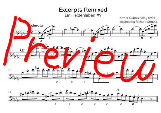 Ein Heldenleben #9 REMIXED