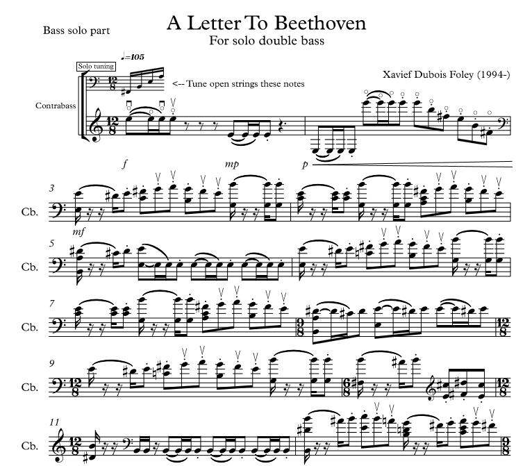 A Letter to Beethoven DUO version