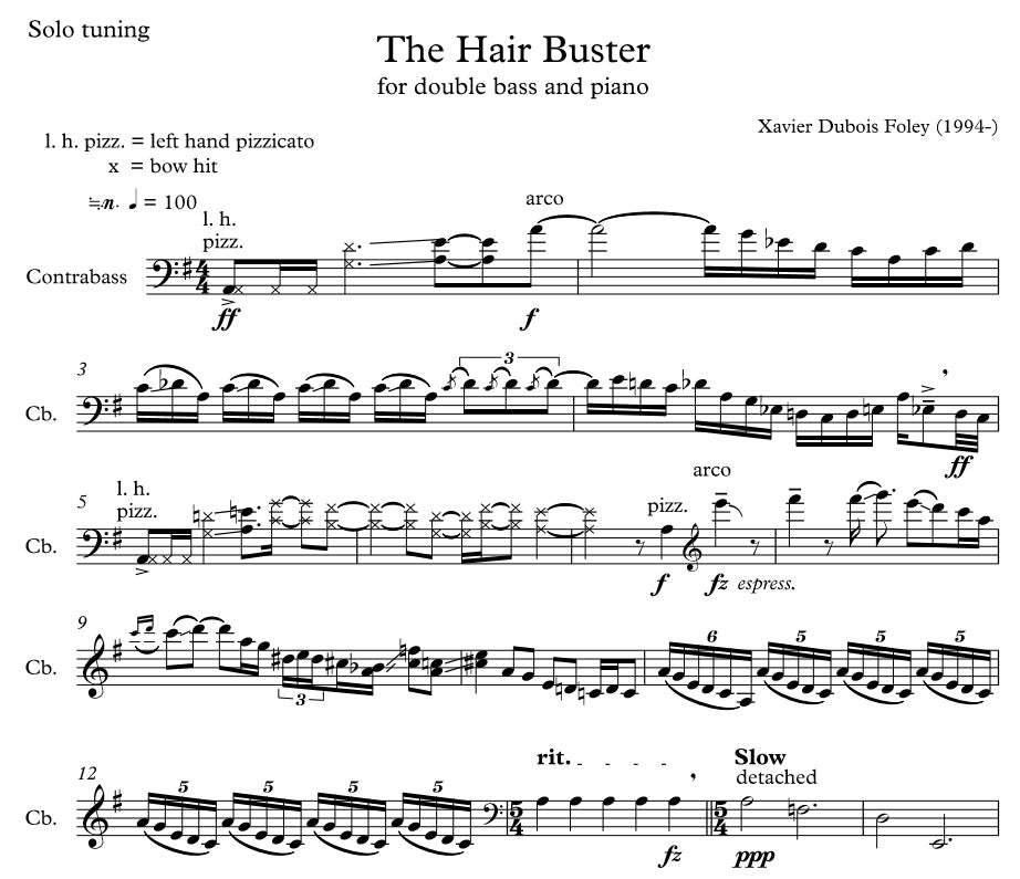 The Hair Buster for SOLO bass
