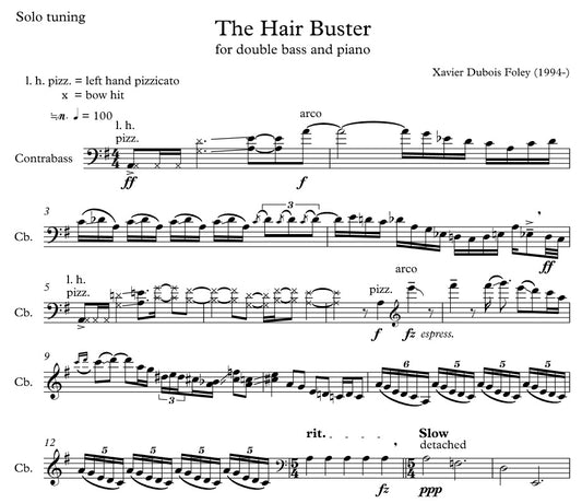 The Hair Buster for SOLO bass
