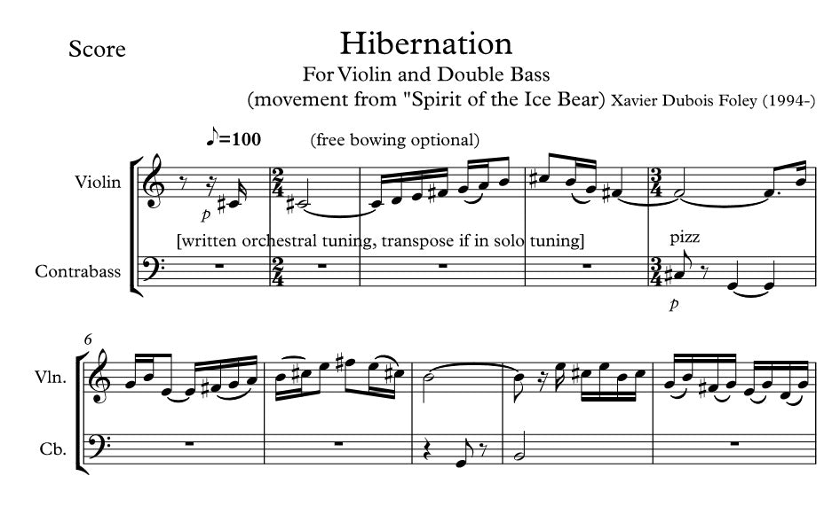 Hibernation - violin & double bass duo