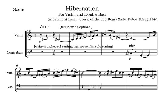 Hibernation - duo de violino e contrabaixo