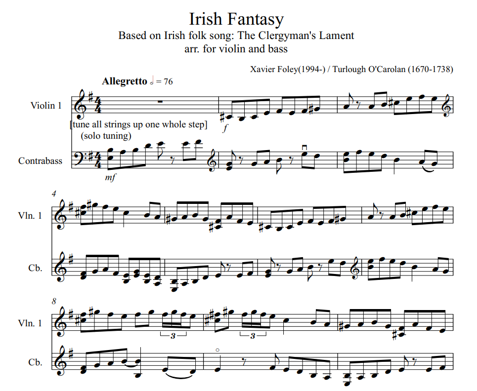 为小提琴和贝司而作的爱尔兰幻想曲