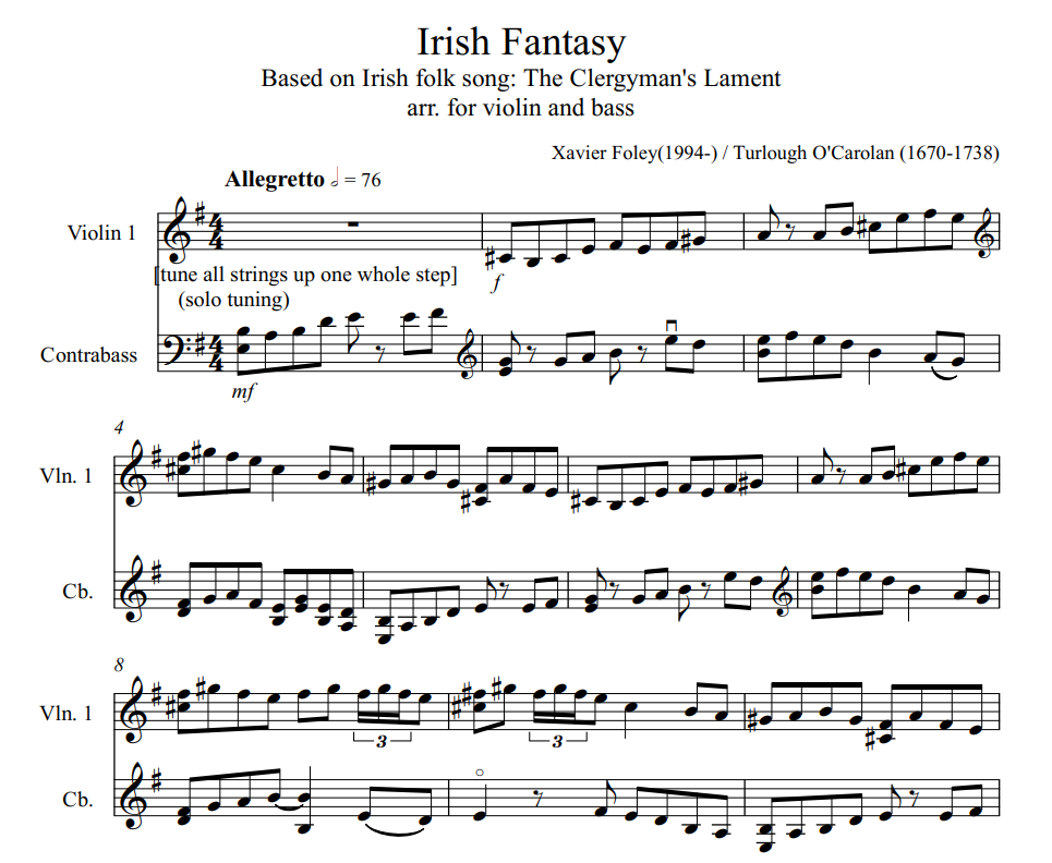 Irish Fantasy for Violin and Bass