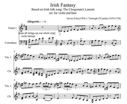 Irish Fantasy for Violin and Bass