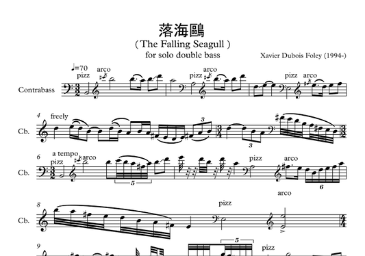 落海鷗 (The Falling Seagull)